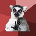 Kto jak kto ale wyluzowany lemur informuje, że nic się w życiu nie dzieje takiego, co by się za bardzo warto przejmować.