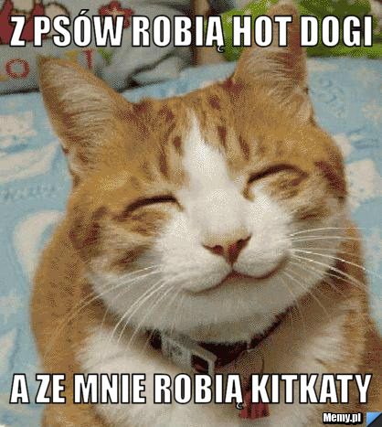 http://i1.memy.pl/obrazki/1135815446_z_psow_robia_hot_dogi.jpg