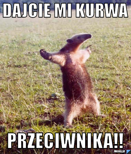 i1.memy.pl/obrazki/30e9247876_dajcie_mi_kurwa.jpg