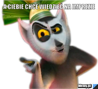 http://i1.memy.pl/obrazki/5bde419676_a_ciebie_chce_wiedziec_na_imprezie.jpg