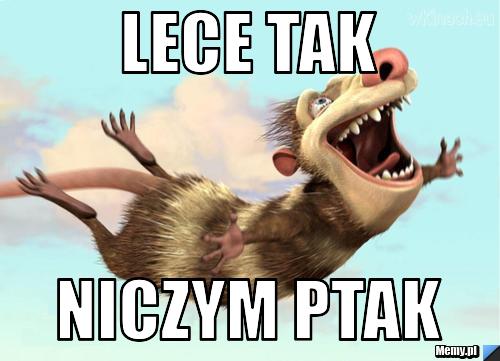 67221019578_lece_tak.jpg