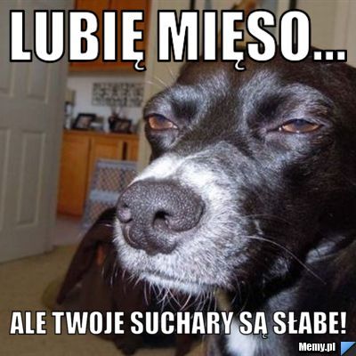 7464906448_lubie_mieso.jpg