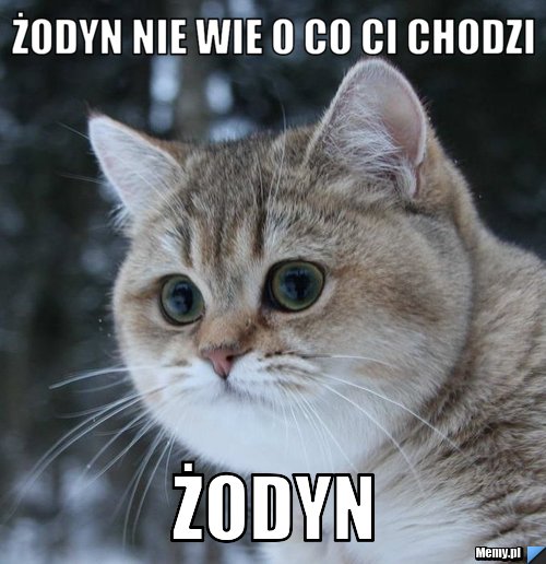 http://i1.memy.pl/obrazki/995e1069039_zodyn_nie_wie_o_co_ci_chodzi.jpg