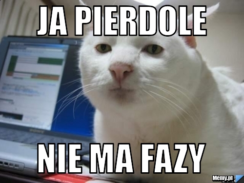 a1f244078_ja_pierdole_.jpg