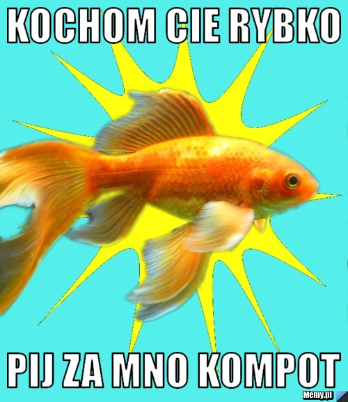 Kochom Cie Rybko Pij Za Mno Kompot Memy Pl