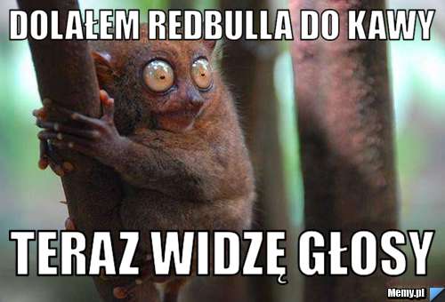 b9aa932698_dolalem_redbulla_do_kawy.jpg