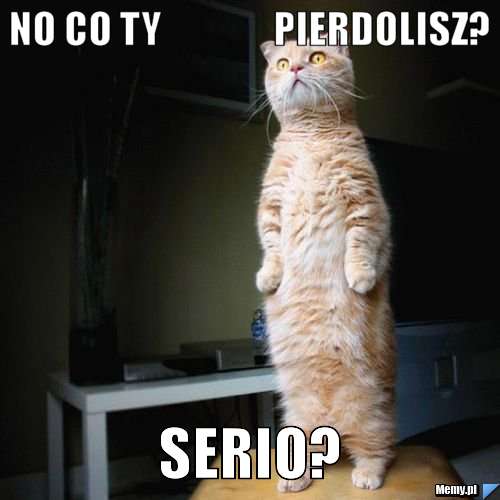 ba245290_no_co_ty_______________pierdolisz.jpg