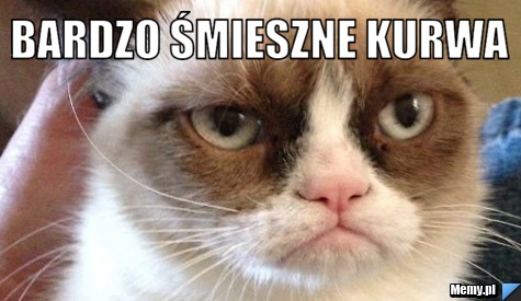 eece903573_bardzo_smieszne_kurwa.jpg