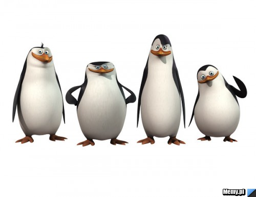 KOWALSKI OPCJĘ ??