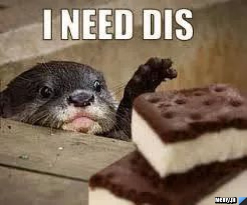 I need dis
