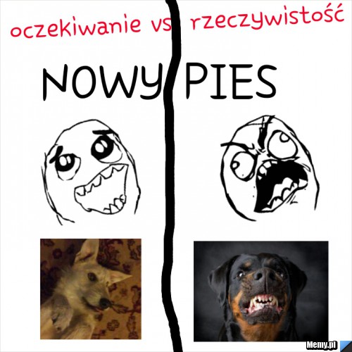 Oczekiwanie vs. rzeczywistość
