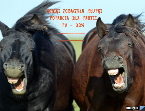 Koń by się uśmiał