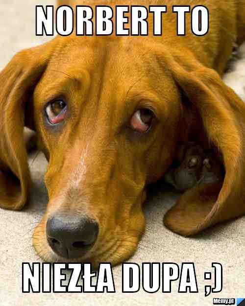 Norbert