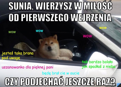 Pieseł