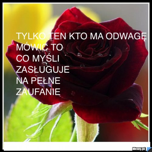 Zaufanie