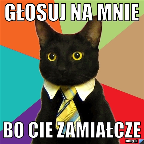 Głosuj na mnie bo cie zamiałcze