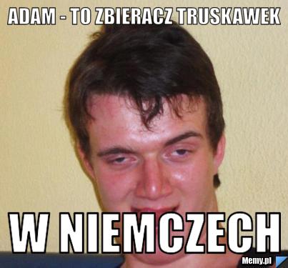 Adam - to zbieracz truskawek  w Niemczech 