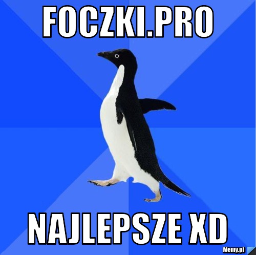 Foczki.pro Najlepsze XD