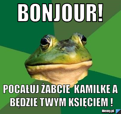 Bonjour! Pocałuj żabcie  Kamilke a będzie twym księciem !