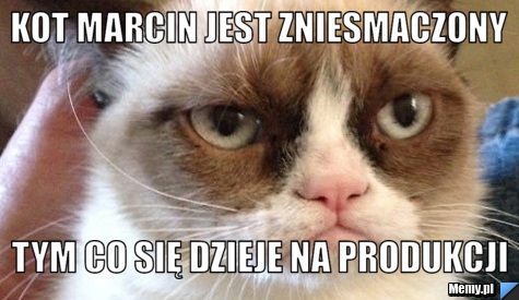 Kot Marcin jest zniesmaczony tym co się dzieje na produkcji