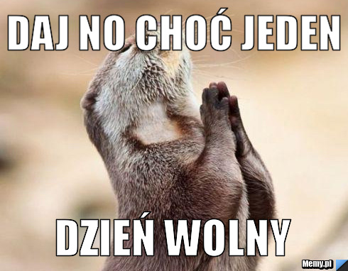 Daj no choć jeden dzień wolny