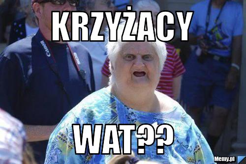 Krzyżacy  WAT??