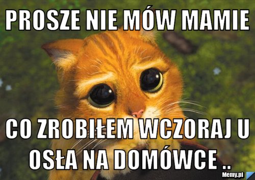 Prosze nie mów mamie  Co zrobiłem wczoraj u Osła na domówce ..