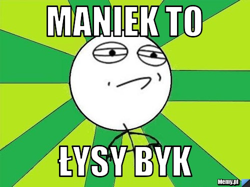 Maniek to łysy byk 