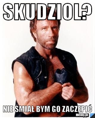 Skudziol? nie śmiał bym go zaczepić