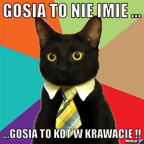 Gosia to nie imie ... ...Gosia to kot w krawacie !!