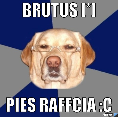 Brutus [*] Pies Raffcia :c
