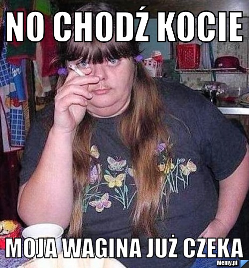 No chodź kocie Moja wagina już czeka