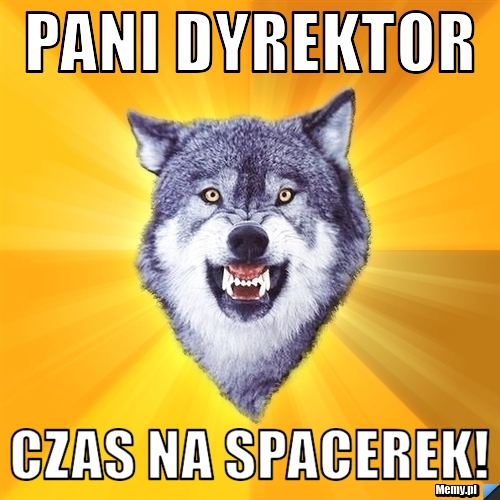 PANI DYREKTOR CZAS NA SPACEREK!