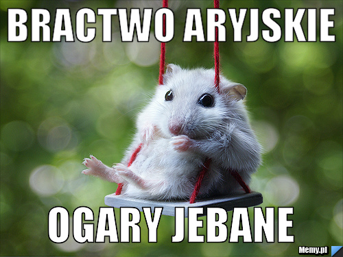 Bractwo Aryjskie Ogary jebane