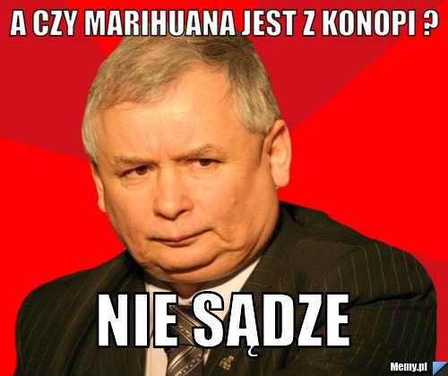 A czy marihuana jest z konopi ? nie sądze