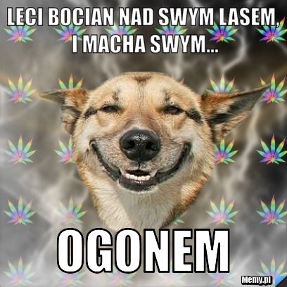Leci bocian nad swym lasem, i macha swym... Ogonem