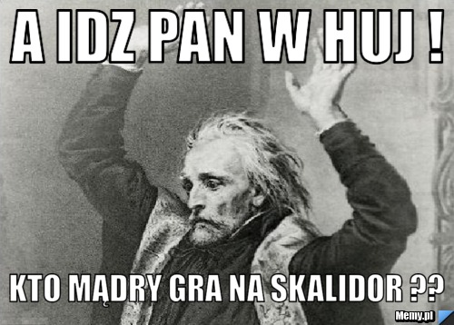 A idz pan w huj ! kto mądry gra na skalidor ??