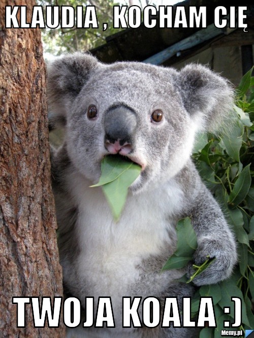 Klaudia , kocham Cię Twoja Koala :)