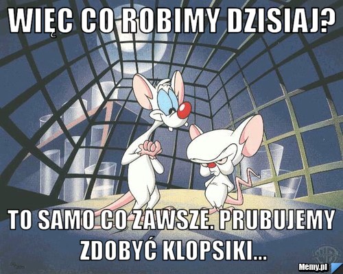 Więc co robimy dzisiaj? to samo co zawsze. Prubujemy zdobyć klopsiki...