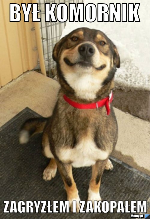 Był komornik zagryzłem i zakopałem