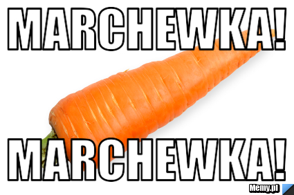 Marchewka! marchewka!
