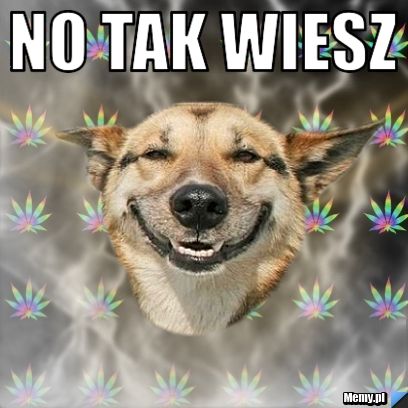 No tak wiesz  