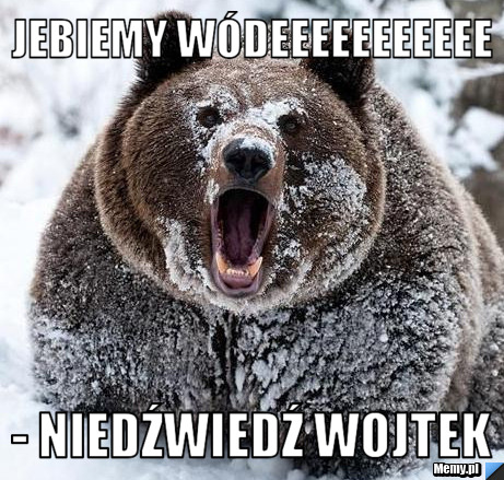 Jebiemy wódeeeeeeeeeee - Niedźwiedź Wojtek