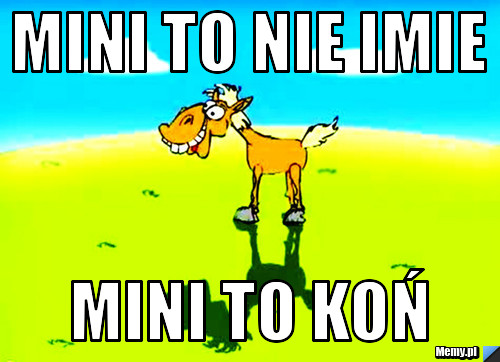 Mini to nie imie   Mini to koń 