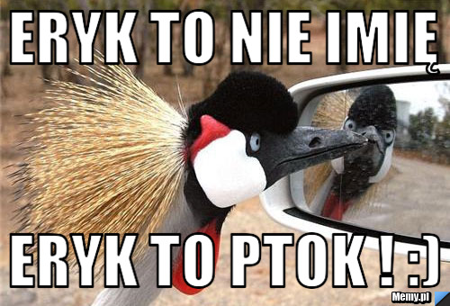 Eryk to nie imię  Eryk to ptOk ! :)