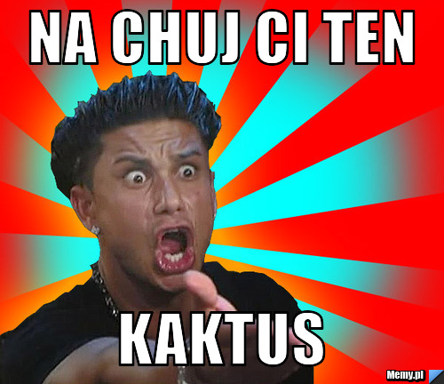 Na chuj ci ten kaktus