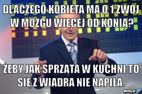 Dlaczego kobieta ma o 1 zwój w mózgu więcej od konia? Żeby jak sprząta w kuchni to się z wiadra nie napiła. 