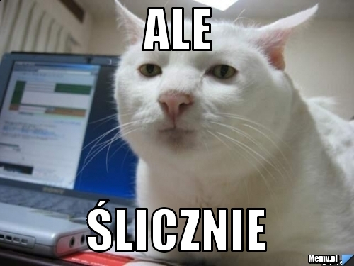 Ale ślicznie