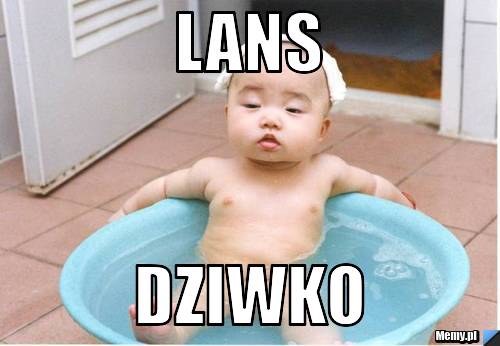 Lans  Dziwko