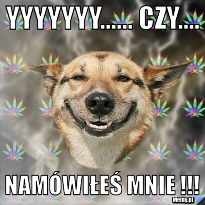 Yyyyyyy...... czy.... namówiłeś mnie !!!